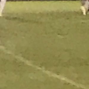 Meet your Posher, Chanel